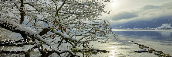 www.dietz.ch - Winter am Zugersee bei Baumgarten