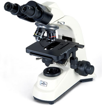 Microscópio óptico - Componentes e manuseio