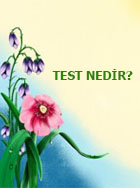 test nedir ?