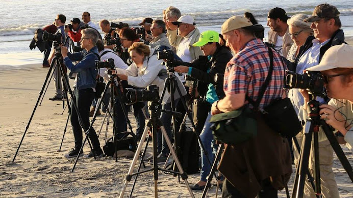 Landscape Practical Session Milnerton Beach, Cape Town : Photo Credit: Steve Williams