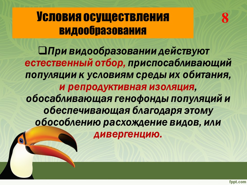 Причины и результаты репродуктивной изоляции