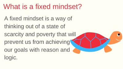 What is fixed mindset