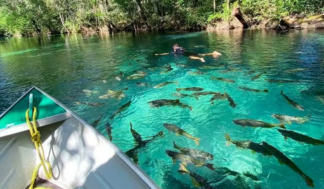 O Que Você Pode Esperar Das Flutuações Em Bonito MS?