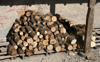Logs stacked in the wood store