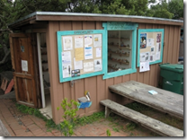 sandtray room stinson beach-outside