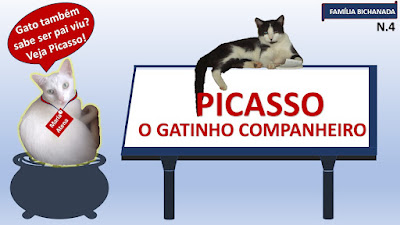 Imagem com a gata Maria Atena apresentando o conteúdo "Picasso, o gatinho companheiro".