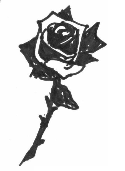 Dedicated to my black rose I