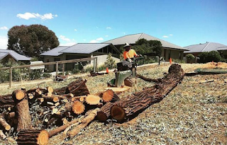 Tree lopping Slacks Creek 