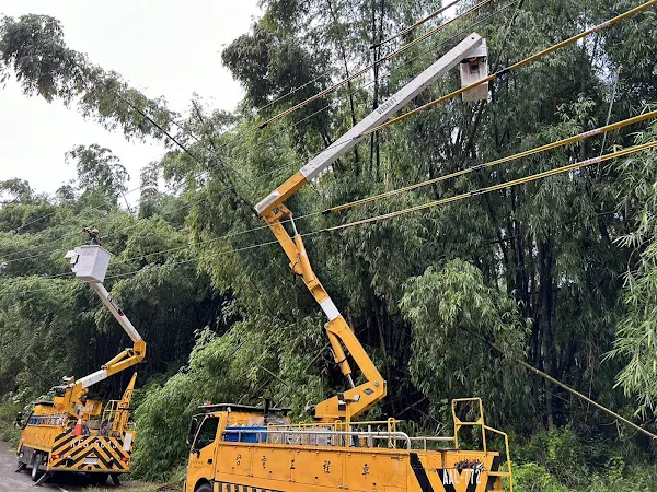 ▲臨近線路樹木修剪，避免樹木倒斷影響供電。（台電彰化區處提供）