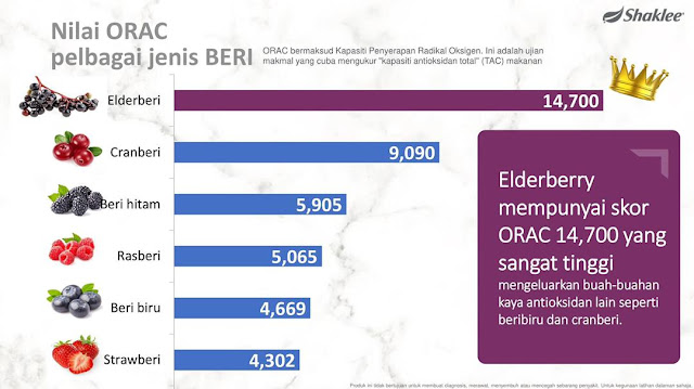 Life Shake Elderberry - Protein Terbaru Shaklee