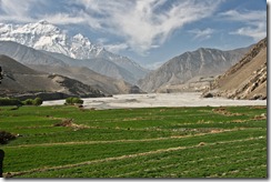 IMG_8447