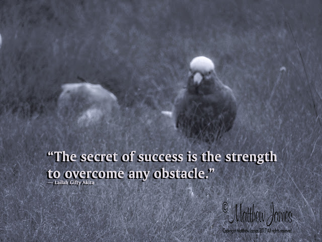 'The secret of success is the strength to overcome any obstacle' - Lailah Gifty Akita