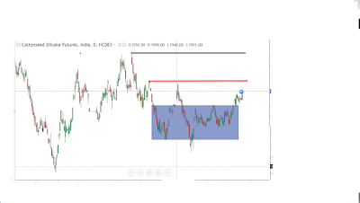 Cottonseed oil cake may hit 2200 level