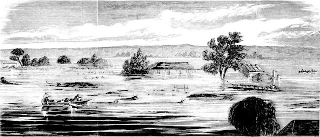 Ryan's Punt, Near Windsor June 1867