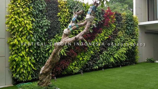 VERTICAL GARDEN INDONESIA SPESIALIS JASA PEMBUATAN VERTICAL GARDEN DI PEMALANG JAWA TENGAH DAN DI SELURUH WILAYAH JAWA TENGAH DENGAN TENAGA YANG PROFESIONAL DAN DAPAT DI PERCAYA YANG SELALU MENGUTAMAKAN SEBUAH MUTU DAN KUALITAS PEMASANGAN VERTICAL GARDEN/TAMAN DINDING, JASA TUKANG TAMAN VERTICAL PEMALANG JAWA TENGAH, JASA VERTICAL GARDEN PEMALANG JAWA TENGAH