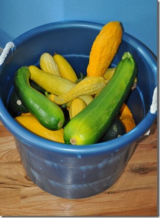zukes