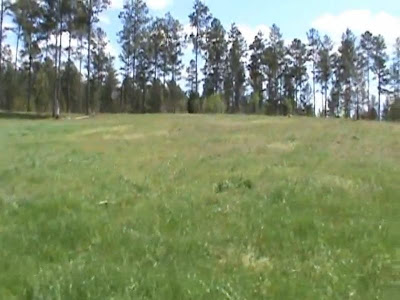 Land-Sale-Madison-County-Georgia-USA-2012-Acres-Great-timber-value-Proven-deer-harvest-property
