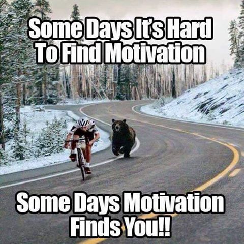 Some days its hard to find Motivation.. Some days Motivation finds you..  Motivation quotes wisdom read