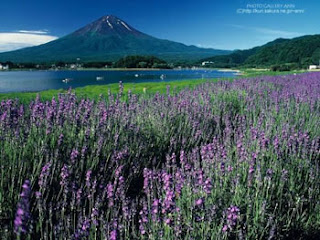 natural sceneries mountain