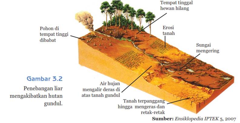 biologi edutainment BAB III KESEIMBANGAN LINGKUNGAN