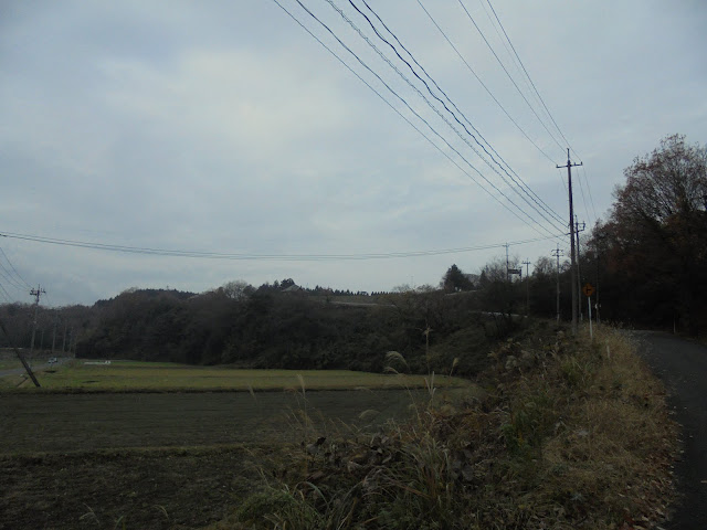 淀江どんぐり村が見えました