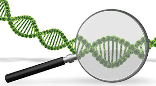 Dịch vụ xét nghiệm ADN 