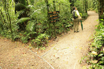 Bosque Nuboso de Monteverde