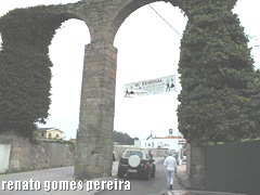 PIC00039