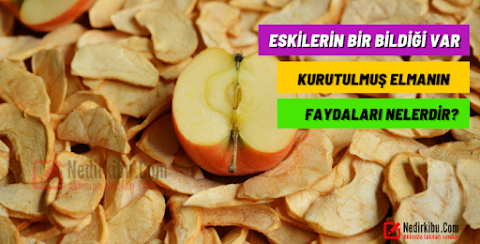 Kuru Elmanın Faydaları Nelerdir?