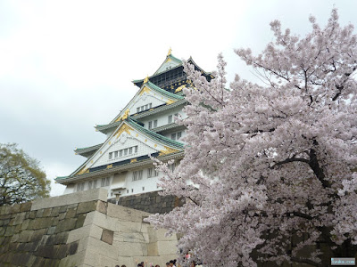 大阪城と桜