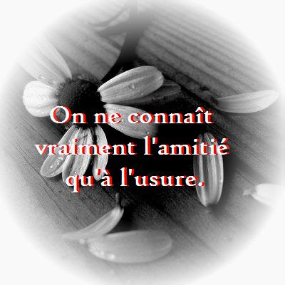 Citation D Amitie Poeme D Amitie Phrase D Amitie Proverbe D Amitie