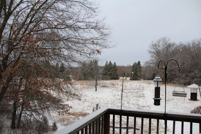 March snow shower powders fields