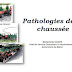 LIVRE: " Pathologies de la chaussée " - PDF