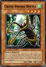 cross-swordbeetle