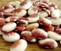 fava