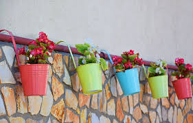6 Tips for Arranging Flower Pots on the Terrace of the House