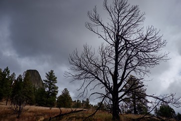 devils_tower 1