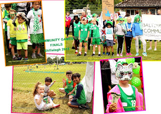 Community games 2018 County Wicklow Finals at Shillelagh