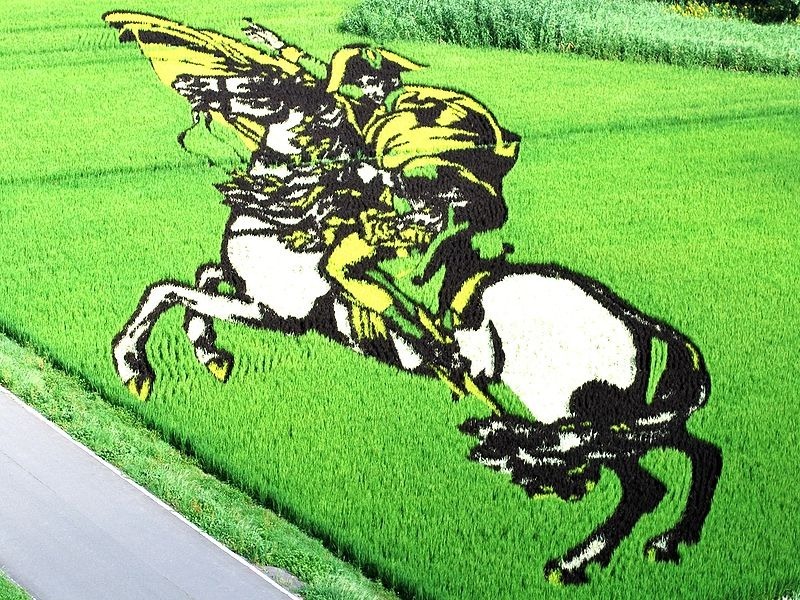 japanese-rice-paddy-art-5