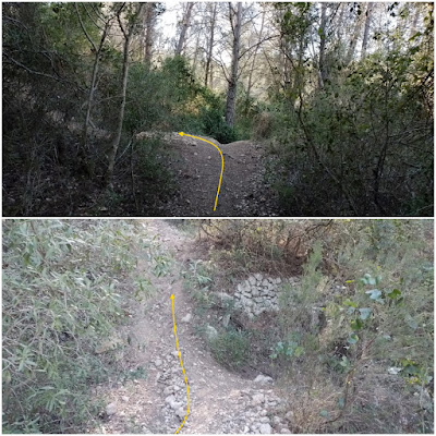 CUNIT - PUIG DE LA MINA - PUIGDETIULA-TURÓ DE L'AVENC - AVENC SANT ANTONI, Corriol pel Fondo de Puigdetiula i en direcció al Turó de l'Avenc