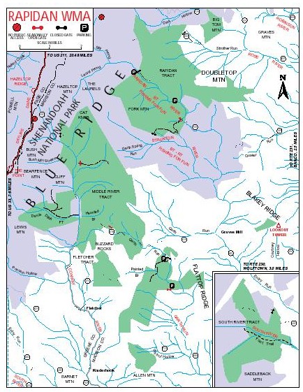 Trout Bum VA: Three paths to the Rapidan River.