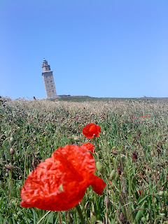 Flower and Tower   Sprint in Tower of Hercules (Corunna, Spain)   by E.V.Pita   http://evpita.blogspot.com/2011/05/flower-and-tower-flores-torre-de.html   Flores + Torre de Hércules  (Primavera en Torre de Hércules, A Coruña)  por E.V.Pita