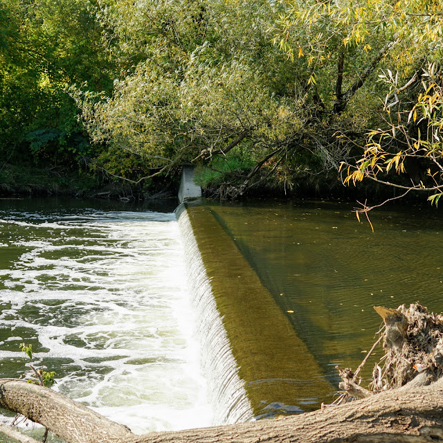 The Don River Fish Ladder