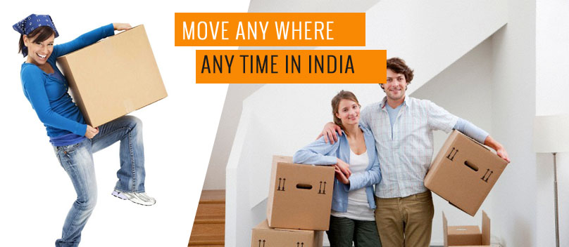 Dabhi Packers And Movers Group
