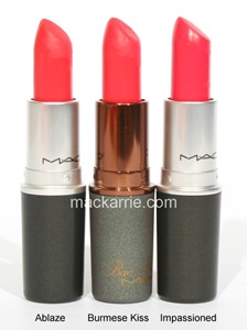 c_BurmeseKissDupes c_BurmeseKissDupes