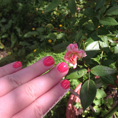 Swatch Cute as a button d'Essie