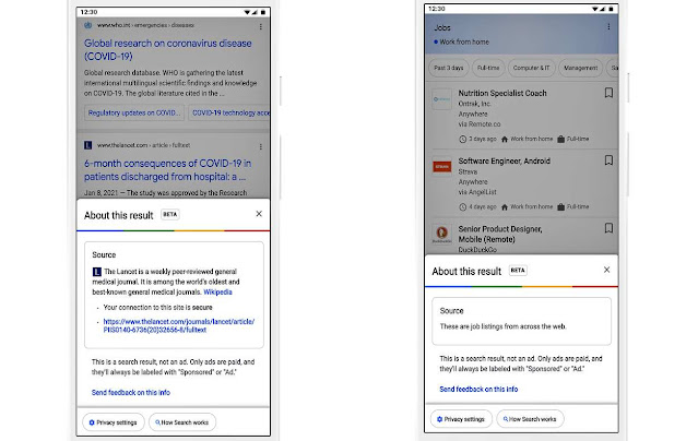 Google New Update "About the Search Result"