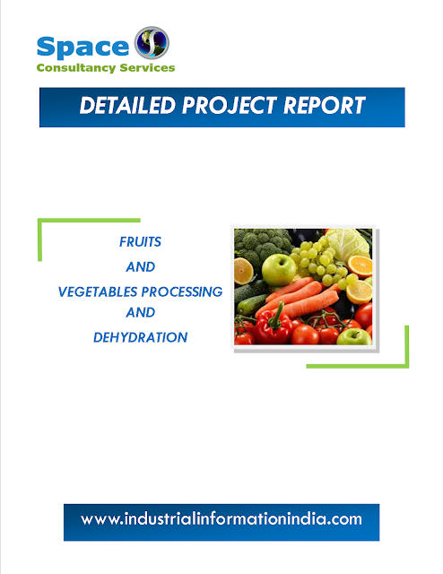 Fruits and Vegetables Processing and Dehydration Project Report