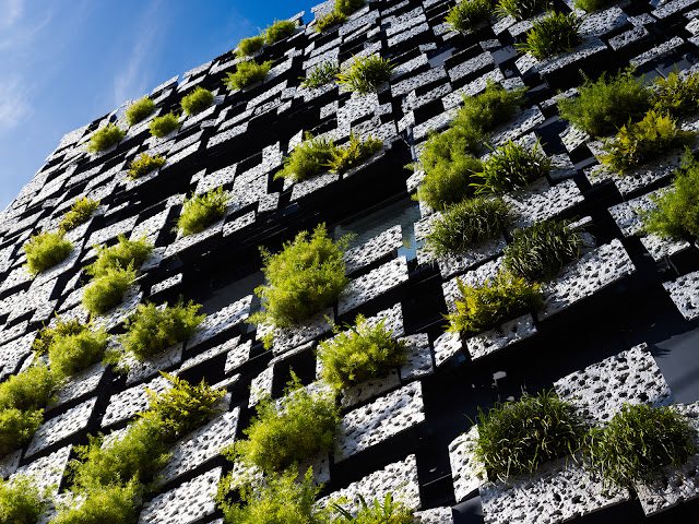 Photo of green wall facade looking up