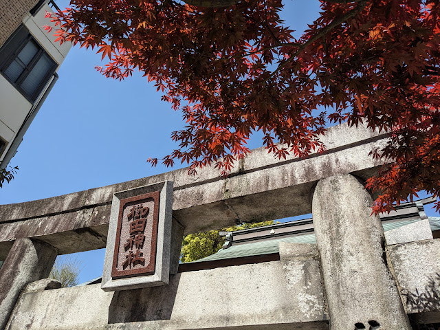櫛田神社與楓樹